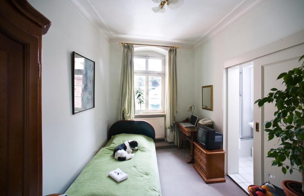 Hotel Goldener Hecht Heidelberg Kamer foto