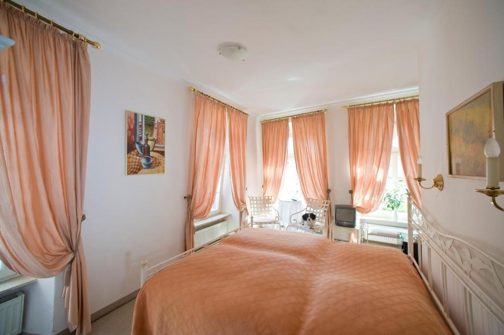 Hotel Goldener Hecht Heidelberg Kamer foto