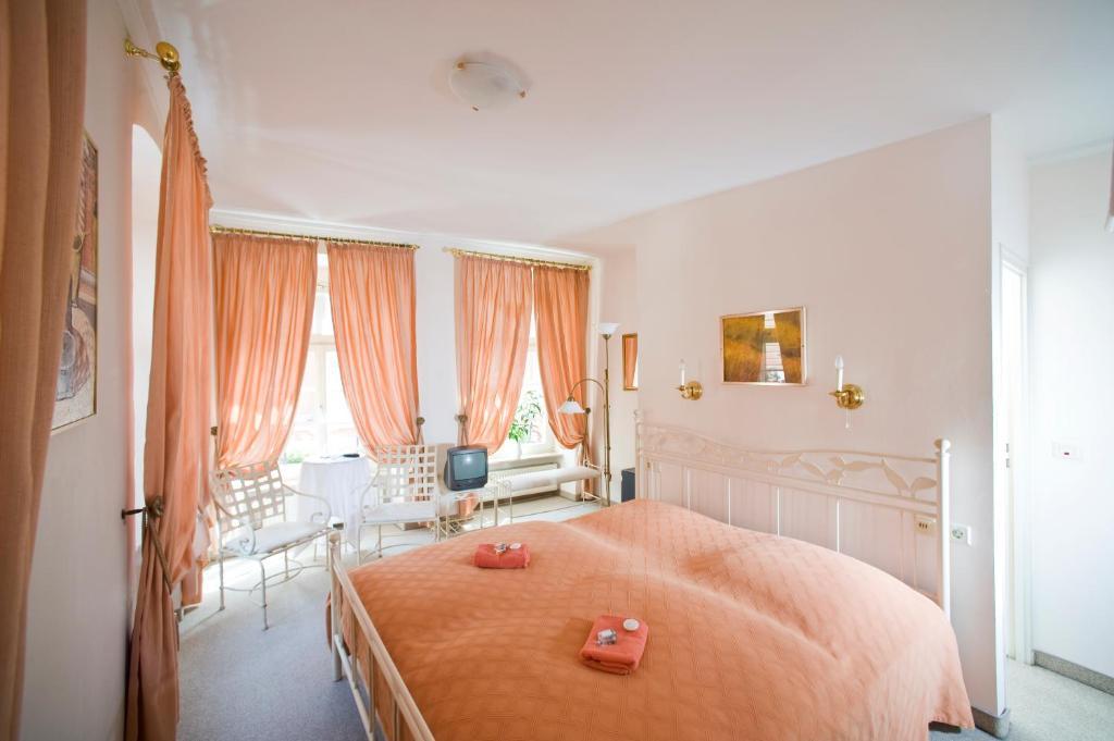 Hotel Goldener Hecht Heidelberg Kamer foto